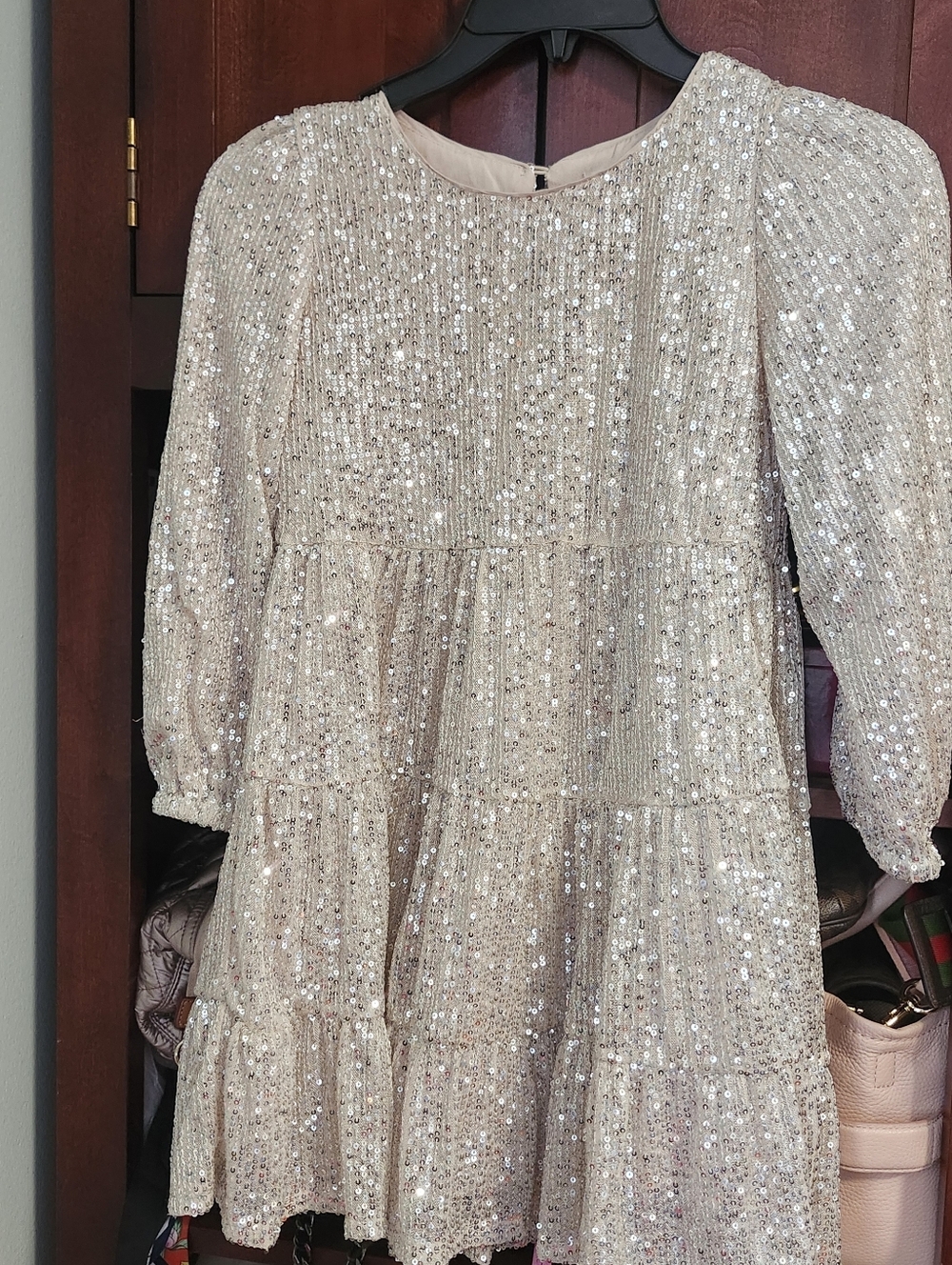 Chelsea Violet Dresses Girls Size 6x - Picture 3 of 9